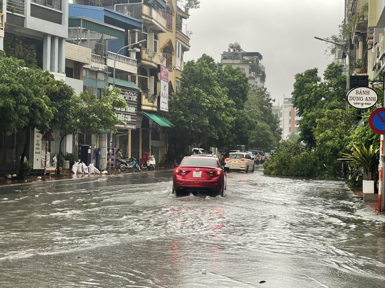 B&atilde;o số 2 đổ bộ: Quảng Ninh, Hải Ph&ograve;ng mưa lớn, nhiều c&acirc;y xanh g&atilde;y đổ- Ảnh 1.