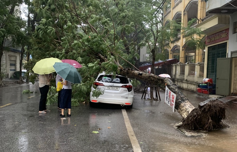 B&atilde;o số 2 đổ bộ: Quảng Ninh, Hải Ph&ograve;ng mưa lớn, nhiều c&acirc;y xanh g&atilde;y đổ- Ảnh 4.