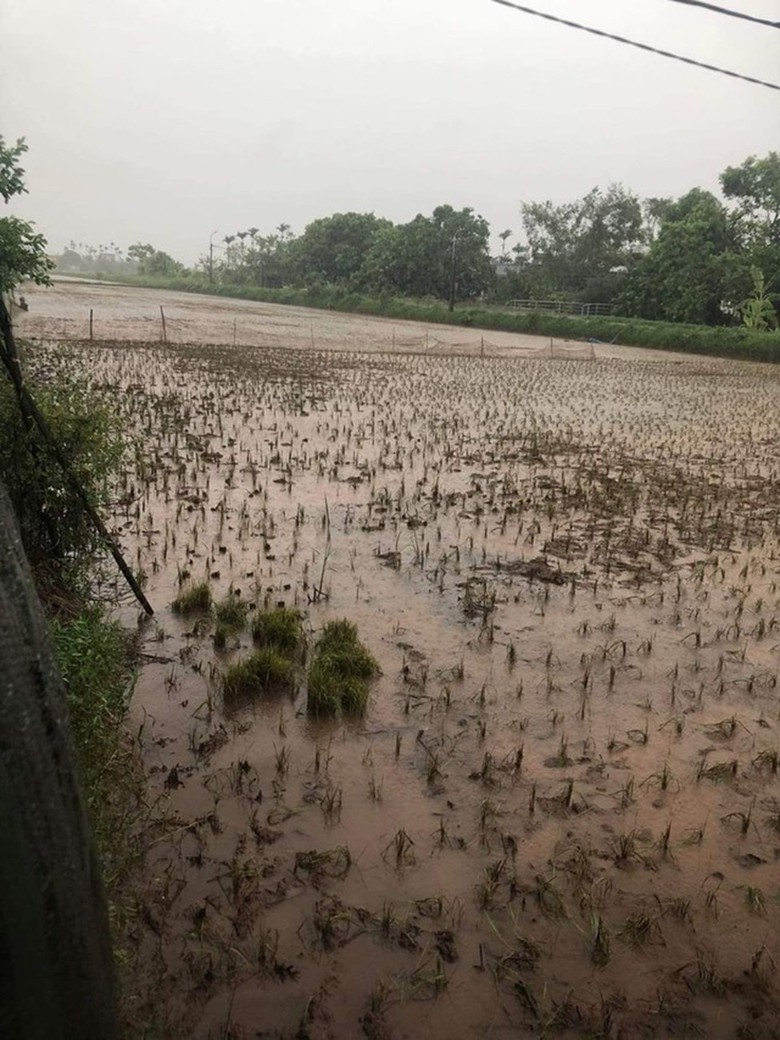 Nam Định: 2 tuyến đ&ecirc; bị sạt trượt do ảnh hưởng b&atilde;o số 2- Ảnh 2.