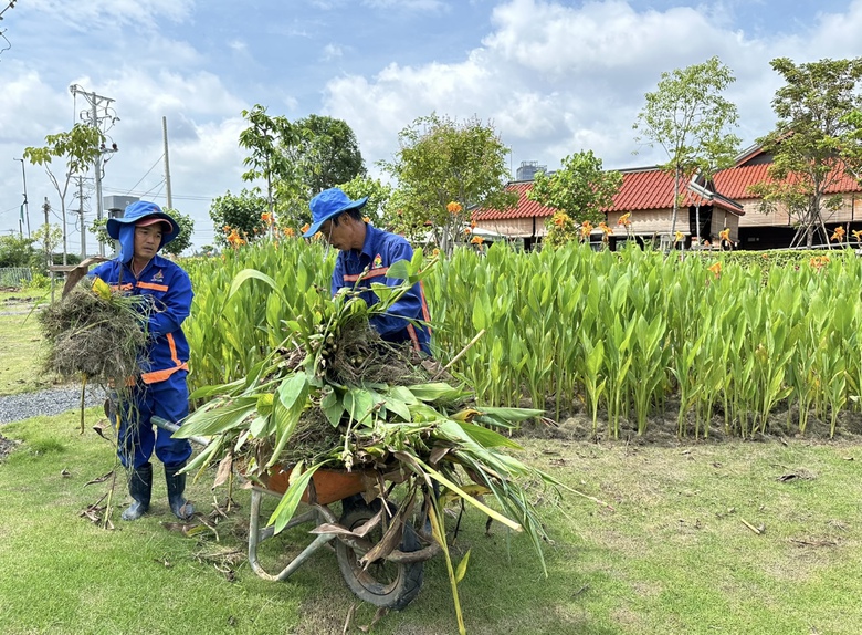 Bờ sông Sài Gòn sẽ trồng thêm hàng nghìn cây hoa hướng dương phục vụ lễ 2/9- Ảnh 6. Bờ sông Sài Gòn sẽ trồng thêm hàng nghìn cây hoa hướng dương phục vụ lễ 2/9- Ảnh 6.