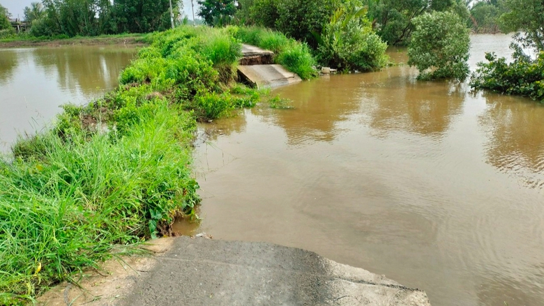 Bạc Li&ecirc;u: Sạt lở cắt đứt đường giao th&ocirc;ng trong đ&ecirc;m- Ảnh 1.
