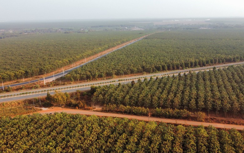 C&aacute;c tuyến đường tỉnh kết nối s&acirc;n bay Long Th&agrave;nh triển khai ra sao?