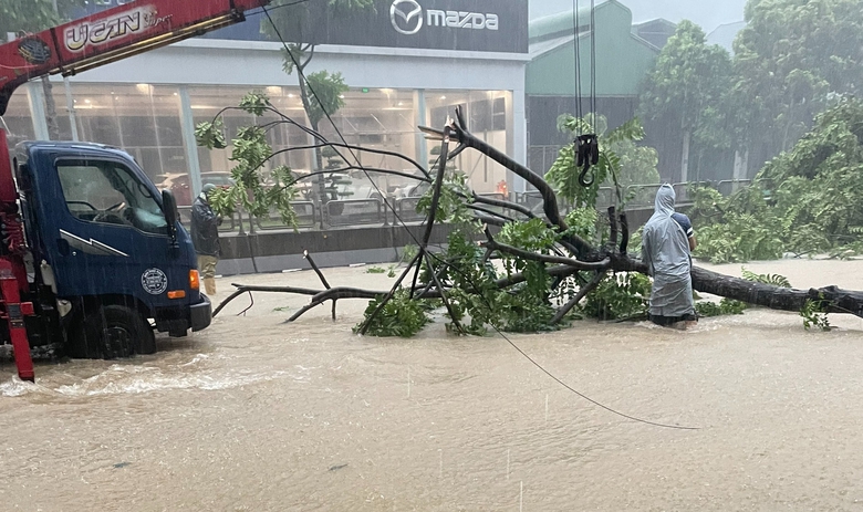 V&igrave; sao đoạn quốc lộ 18 qua TP Cẩm Phả thường xuy&ecirc;n bị ngập lụt?- Ảnh 5.