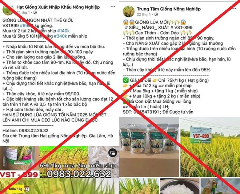 B&aacute;n giống l&uacute;a giả tr&ecirc;n mạng x&atilde; hội, 7 đối tượng chiếm đoạt gần 8 tỷ đồng- Ảnh 1.