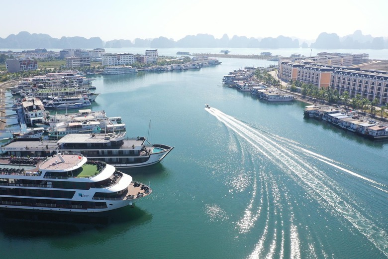 Đề xuất mức thu ph&iacute; tham quan vịnh Hạ Long 1/2 ng&agrave;y l&agrave; 600.000 đồng/du kh&aacute;ch- Ảnh 1.