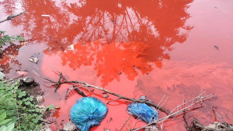 C&agrave; Mau: V&igrave; sao nước s&ocirc;ng N&agrave;ng &Acirc;m c&oacute; m&agrave;u đỏ bất thường?- Ảnh 2.