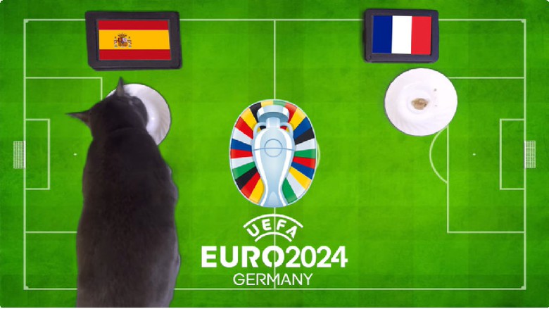 M&egrave;o ti&ecirc;n tri dự đo&aacute;n kết quả trận T&acirc;y Ban Nha vs Ph&aacute;p: &ldquo;G&agrave; trống&rdquo; tắt tiếng- Ảnh 1.