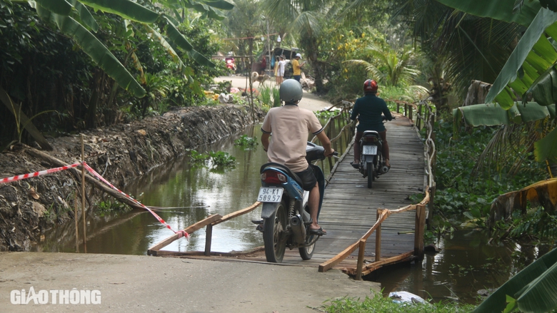 "Hơn 70 tuổi, lần đầu tôi thấy cảnh sụt lún kinh hoàng ở Bạc Liêu"- Ảnh 2. "Hơn 70 tuổi, lần đầu tôi thấy cảnh sụt lún kinh hoàng ở Bạc Liêu"- Ảnh 2.