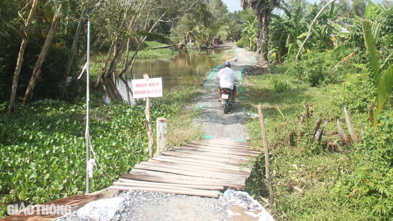 "Hơn 70 tuổi, lần đầu tôi thấy cảnh sụt lún kinh hoàng ở Bạc Liêu"- Ảnh 3. "Hơn 70 tuổi, lần đầu tôi thấy cảnh sụt lún kinh hoàng ở Bạc Liêu"- Ảnh 3.