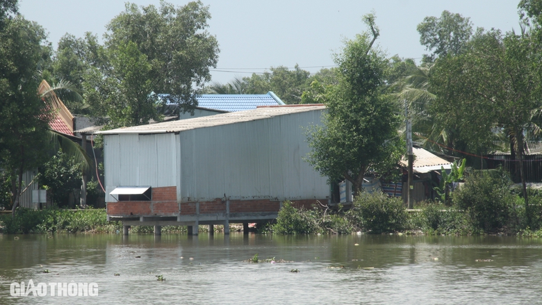 "Hơn 70 tuổi, lần đầu tôi thấy cảnh sụt lún kinh hoàng ở Bạc Liêu"- Ảnh 4. "Hơn 70 tuổi, lần đầu tôi thấy cảnh sụt lún kinh hoàng ở Bạc Liêu"- Ảnh 4.