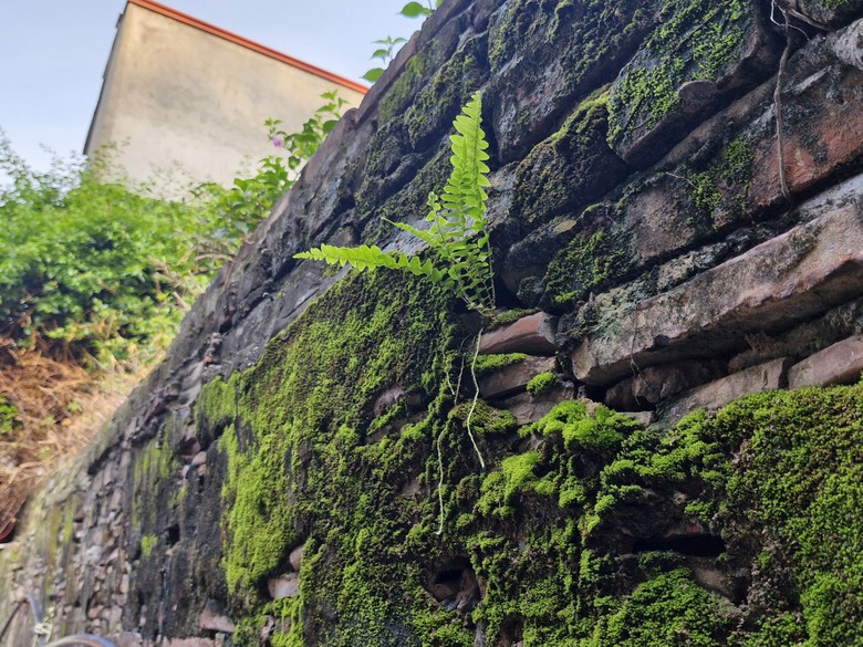 Độc đ&aacute;o những căn nh&agrave; cổ h&agrave;ng trăm năm tuổi, chứng t&iacute;ch l&agrave;ng gốm cổ Thổ H&agrave;, Bắc Giang- Ảnh 6.