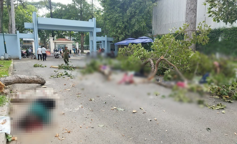 Để kh&ocirc;ng c&ograve;n những c&aacute;i chết &ldquo;từ tr&ecirc;n trời rơi xuống&rdquo;- Ảnh 1.