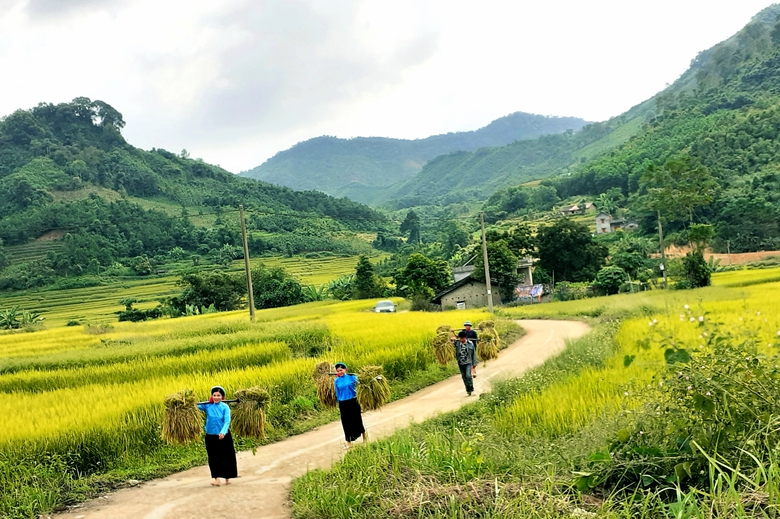 Quảng Ninh l&agrave;m đường nối quốc lộ 18 l&ecirc;n đại ng&agrave;n h&ugrave;ng vĩ- Ảnh 2.