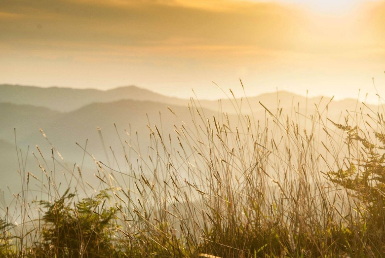 Đến Bùi Hui ngắm thảo nguyên mơ mộng giữa đại ngàn- Ảnh 5. Đến Bùi Hui ngắm thảo nguyên mơ mộng giữa đại ngàn- Ảnh 5.