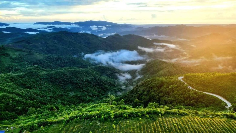 Đến Bùi Hui ngắm thảo nguyên mơ mộng giữa đại ngàn- Ảnh 11. Đến Bùi Hui ngắm thảo nguyên mơ mộng giữa đại ngàn- Ảnh 11.