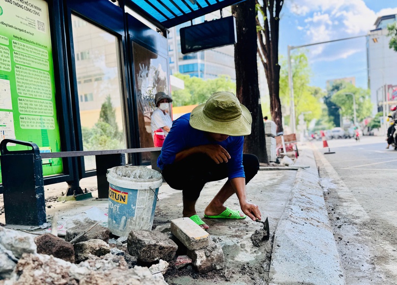 TP.HCM chấn chỉnh tình trạng cải tạo vỉa hè làm hàng loạt cây xanh bị đốn hạ- Ảnh 2. TP.HCM chấn chỉnh tình trạng cải tạo vỉa hè làm hàng loạt cây xanh bị đốn hạ- Ảnh 2.