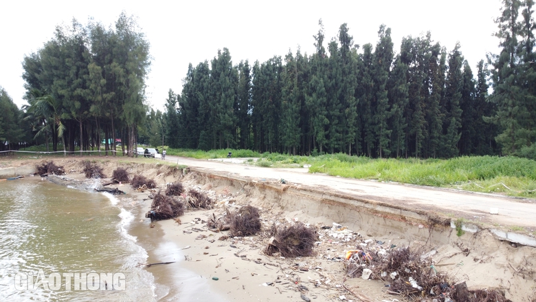 H&igrave;nh ảnh biển đe dọa "nuốt" đường v&agrave; nh&agrave; ở Thanh H&oacute;a- Ảnh 3.