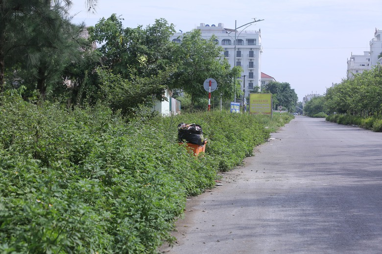 V&igrave; sao b&atilde;i biển Hải Tiến năm nay "ngủ đ&ocirc;ng" sớm?- Ảnh 6.