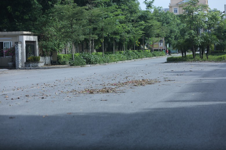 V&igrave; sao b&atilde;i biển Hải Tiến năm nay "ngủ đ&ocirc;ng" sớm?- Ảnh 8.