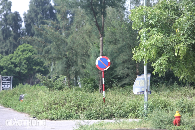 V&igrave; sao b&atilde;i biển Hải Tiến năm nay "ngủ đ&ocirc;ng" sớm?- Ảnh 5.