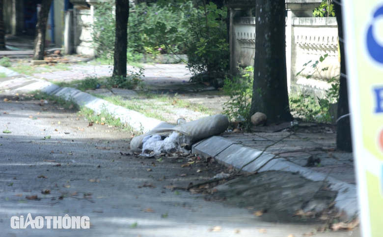 V&igrave; sao b&atilde;i biển Hải Tiến năm nay "ngủ đ&ocirc;ng" sớm?- Ảnh 17.