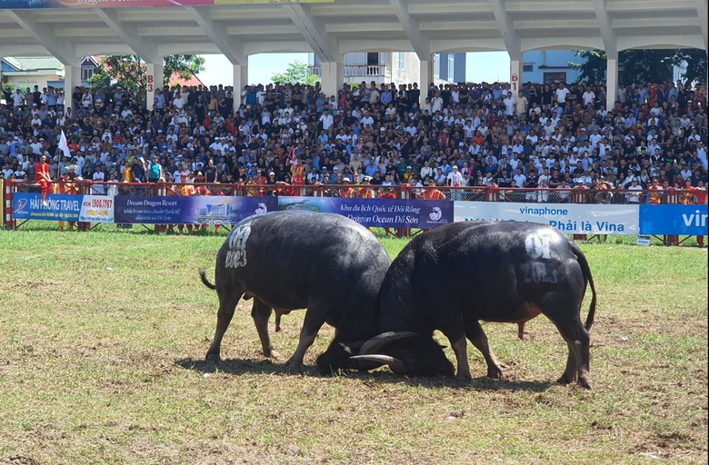Hải Ph&ograve;ng ph&aacute;t h&agrave;nh 17.000 v&eacute; mời tham dự lễ hội chọi tr&acirc;u Đồ Sơn 2024- Ảnh 1.