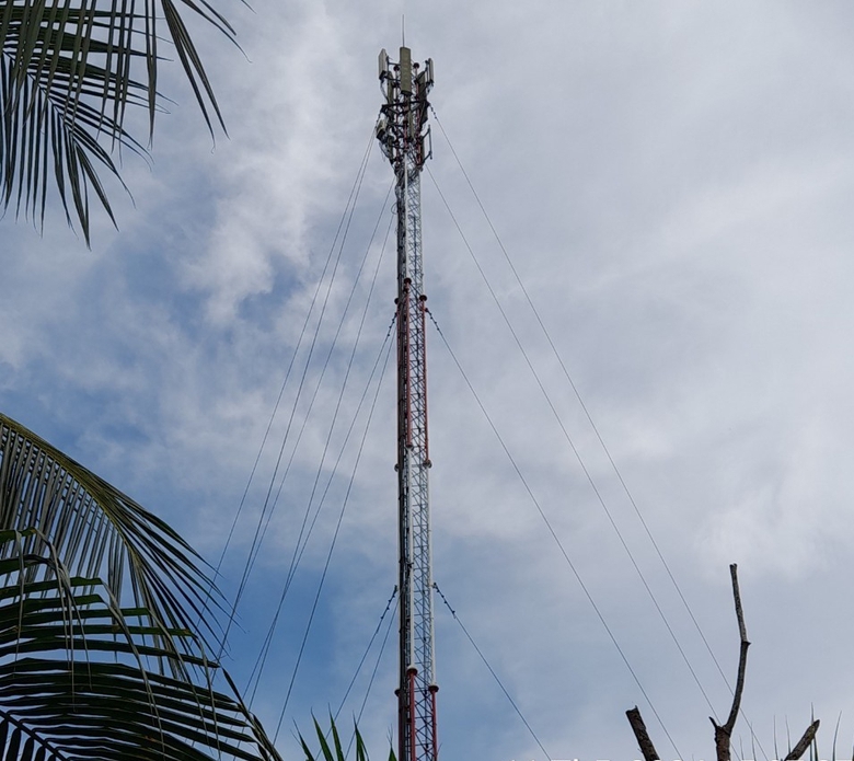 Đốn hạ nhiều c&acirc;y cao quanh s&acirc;n bay Cần Thơ- Ảnh 2.