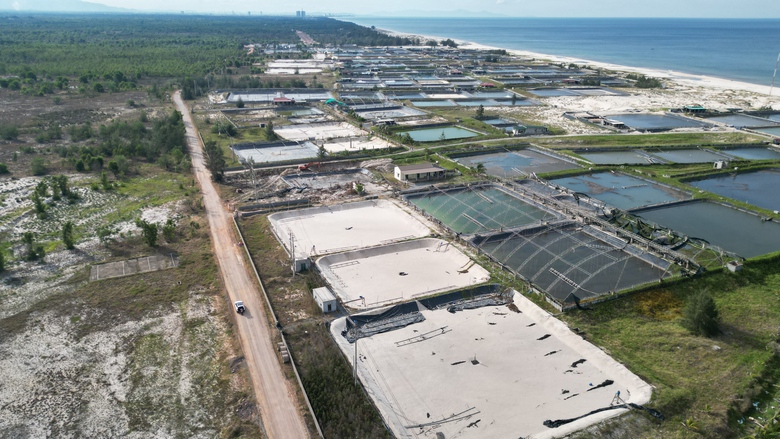 Sẽ cưỡng chế b&agrave;n giao mặt bằng l&agrave;m đường ven biển đoạn qua Quảng B&igrave;nh- Ảnh 2.