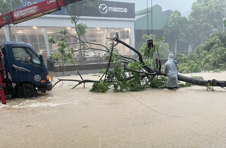 Quảng Ninh chủ động khắc phục sạt lở, ngập lụt ở c&aacute;c tuyến giao th&ocirc;ng m&ugrave;a mưa lũ- Ảnh 2.