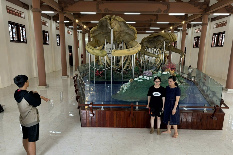 Đến Lý Sơn chiêm ngưỡng đôi ngọc cốt cá voi hơn 200 năm tuổi lớn nhất Đông Nam Á- Ảnh 2. Đến Lý Sơn chiêm ngưỡng đôi ngọc cốt cá voi hơn 200 năm tuổi lớn nhất Đông Nam Á- Ảnh 2.