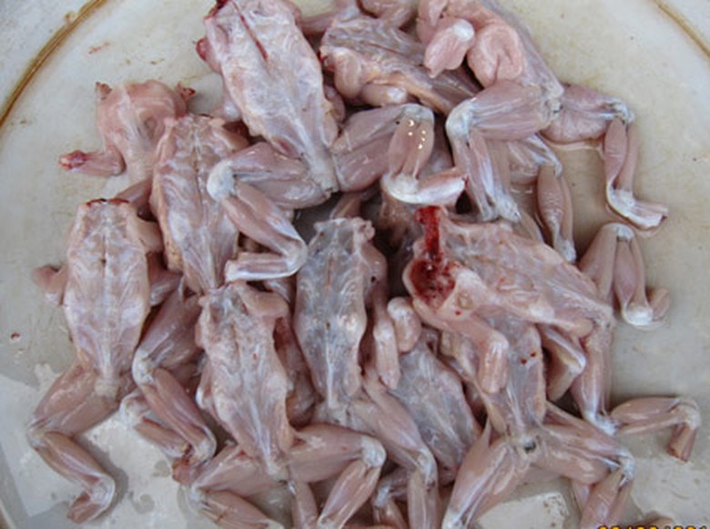 Cha tử vong, con 5 tuổi bất tỉnh nghi do ngộ độc thịt c&oacute;c- Ảnh 1.