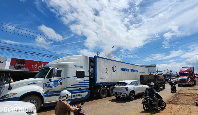 Tặng sầu ri&ecirc;ng mạ v&agrave;ng 24k cho người tr&uacute;ng đấu gi&aacute; "Nữ ho&agrave;ng sầu ri&ecirc;ng"- Ảnh 2.