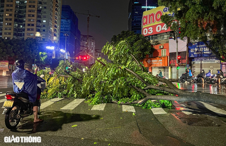 Đường ngập, cây đổ la liệt sau trận mưa lớn ở Hà Nội- Ảnh 1. Đường ngập, cây đổ la liệt sau trận mưa lớn ở Hà Nội- Ảnh 1.