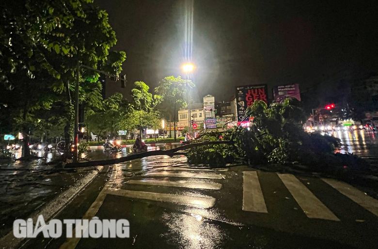 Đường ngập, cây đổ la liệt sau trận mưa lớn ở Hà Nội- Ảnh 2. Đường ngập, cây đổ la liệt sau trận mưa lớn ở Hà Nội- Ảnh 2.