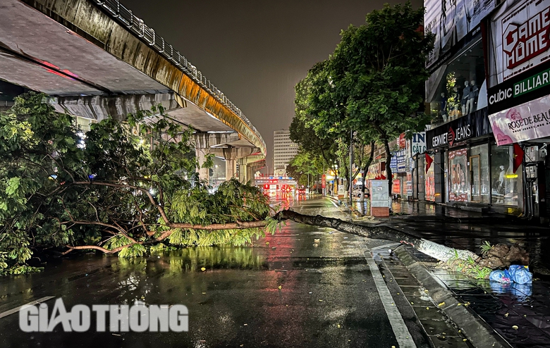 Đường ngập, cây đổ la liệt sau trận mưa lớn ở Hà Nội- Ảnh 4. Đường ngập, cây đổ la liệt sau trận mưa lớn ở Hà Nội- Ảnh 4.
