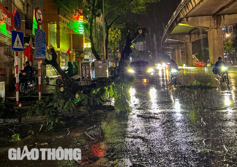Đường ngập, cây đổ la liệt sau trận mưa lớn ở Hà Nội- Ảnh 5. Đường ngập, cây đổ la liệt sau trận mưa lớn ở Hà Nội- Ảnh 5.