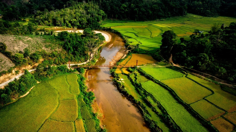 M&ugrave;a v&agrave;ng tr&ecirc;n cao nguy&ecirc;n Măng Đen- Ảnh 4.