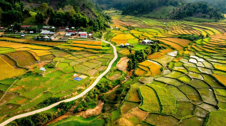 M&ugrave;a v&agrave;ng tr&ecirc;n cao nguy&ecirc;n Măng Đen- Ảnh 1.