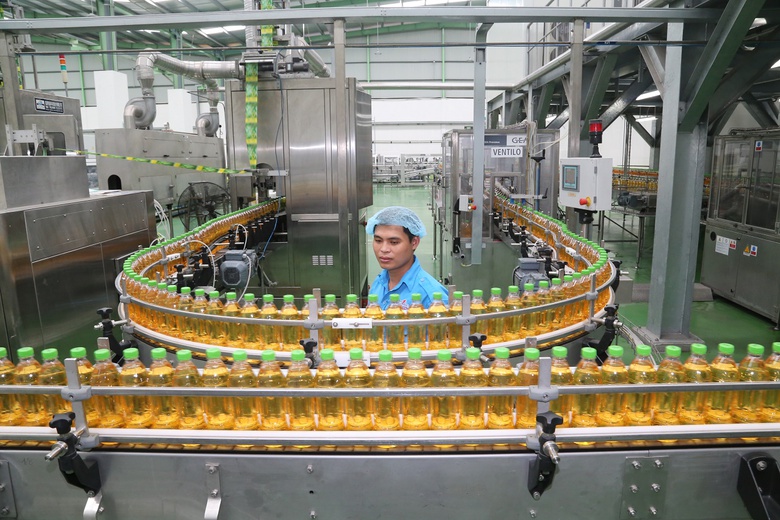 Về Th&aacute;i Nguy&ecirc;n, kh&aacute;m ph&aacute; v&ugrave;ng nguy&ecirc;n liệu của Tr&agrave; Xanh Kh&ocirc;ng Độ- Ảnh 4.