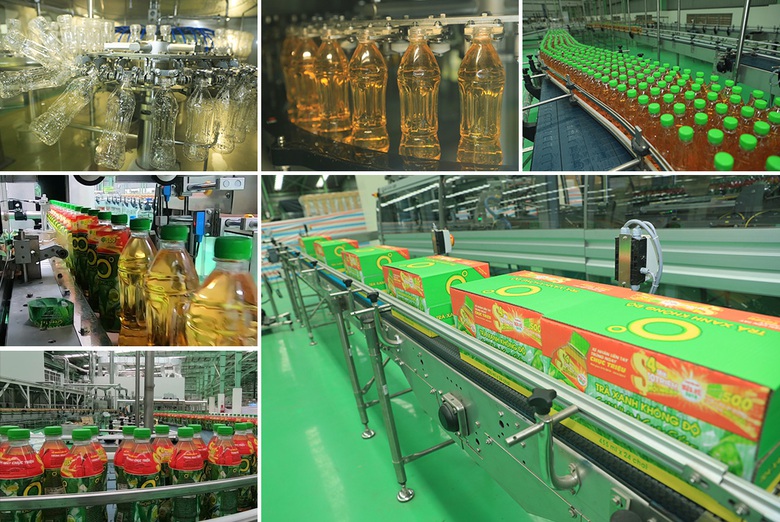 Về Th&aacute;i Nguy&ecirc;n, kh&aacute;m ph&aacute; v&ugrave;ng nguy&ecirc;n liệu của Tr&agrave; Xanh Kh&ocirc;ng Độ- Ảnh 5.