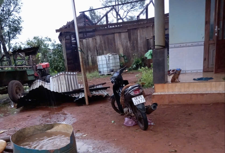 Đắk Nông: 30 phút mưa đá gây thiệt hại nửa tỷ đồng- Ảnh 1. Đắk Nông: 30 phút mưa đá gây thiệt hại nửa tỷ đồng- Ảnh 1.