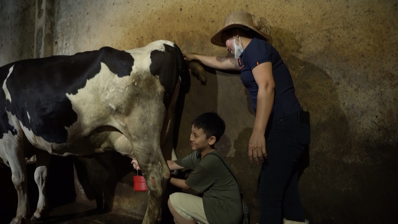 Đạo diễn Đ&agrave;o Thanh Hưng: T&ocirc;i bất ngờ khi vợ chồng tranh c&atilde;i đ&atilde; ảnh hưởng ti&ecirc;u cực đến con- Ảnh 5.
