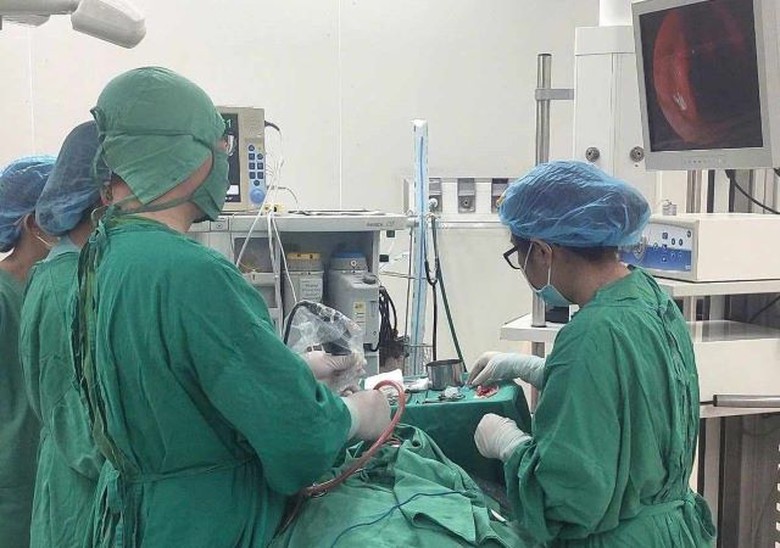 Người đ&agrave;n &ocirc;ng mất c&aacute;nh mũi phải do bị ch&oacute; nh&agrave; h&agrave;ng x&oacute;m tấn c&ocirc;ng- Ảnh 1.