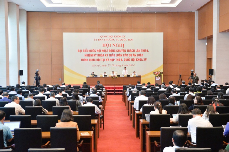 ĐBQH: Rất kh&oacute; khăn để x&acirc;y dựng trại giam ri&ecirc;ng cho người chưa th&agrave;nh ni&ecirc;n- Ảnh 2.
