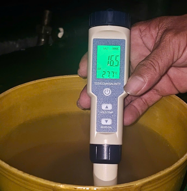 Đưa c&aacute;t từ biển khơi về c&ocirc;ng tr&igrave;nh cao tốc bằng c&aacute;ch n&agrave;o?- Ảnh 4.