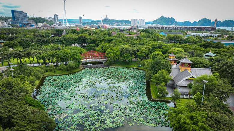 Bật m&iacute; điểm check-in với sen cực hot khi đến Sun World Ha Long- Ảnh 1.