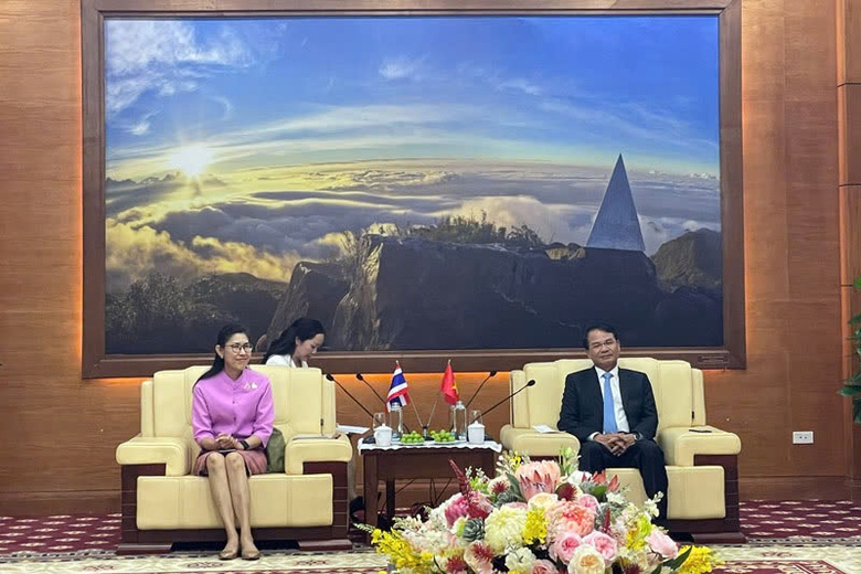 L&agrave;o Cai thắt chặt quan hệ ngoại giao Việt Nam - Th&aacute;i Lan- Ảnh 1.