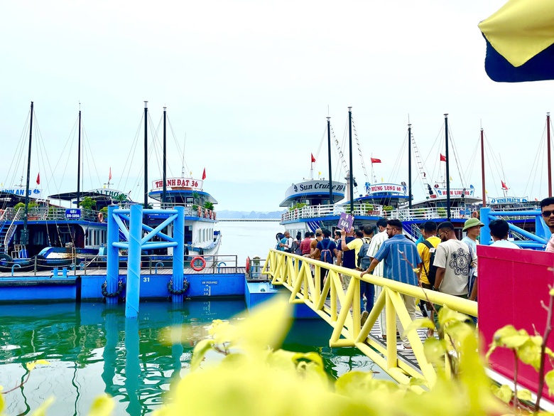 Hậu trường chuyện đi lại, bếp núc cho đoàn 4.500 khách của tỷ phú Ấn Độ đến Việt Nam- Ảnh 3. Hậu trường chuyện đi lại, bếp núc cho đoàn 4.500 khách của tỷ phú Ấn Độ đến Việt Nam- Ảnh 3.