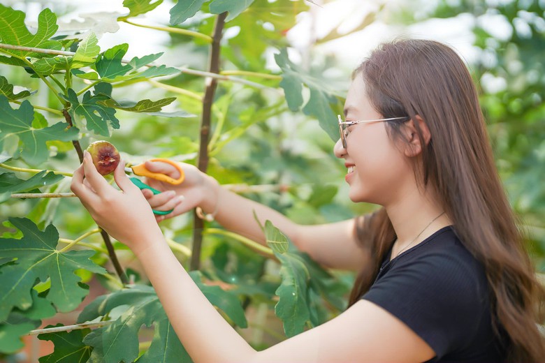 Du kh&aacute;ch chơi g&igrave; ở TP.HCM dịp nghỉ lễ 2/9?- Ảnh 1.
