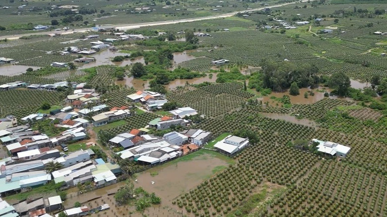 Vụ ngập nặng ở B&igrave;nh Thuận: Chủ đầu tư khẳng định kh&ocirc;ng phải do đường ven biển- Ảnh 1.